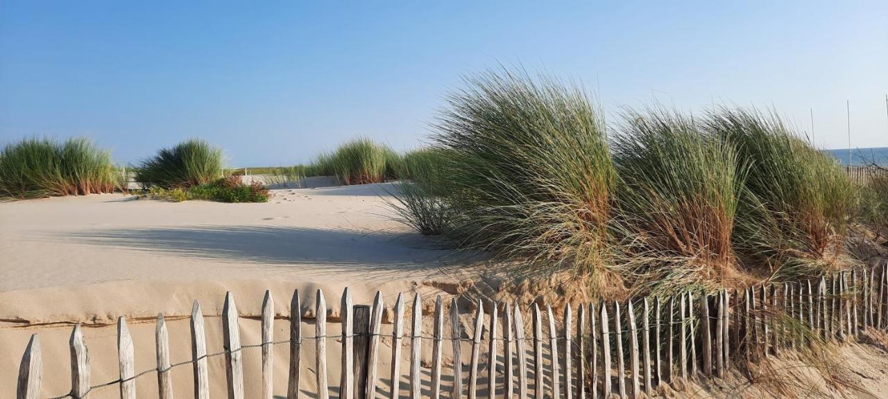Maison Sur Le Bassin D'Arcachon La Teste-de-Buch Buitenkant foto